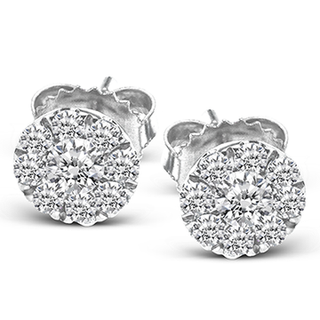 Zeghani Ladies 14k White Gold Earring NGE102