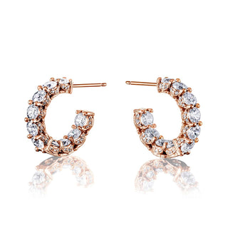 Crescent Eclipse  Earring FE817