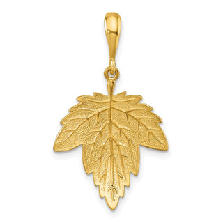 Unisex 14K Gold Pendant 14LIPD94Y