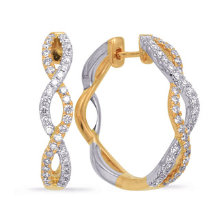 Hoops Earring E8006YW