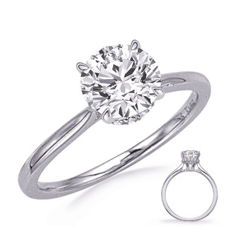 Halo - Hidden Engagement Ring EN8344