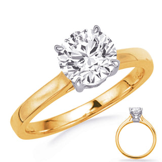 Halo - Hidden Engagement Ring EN8352