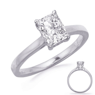 Halo - Hidden Engagement Ring EN8362