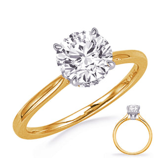 Halo - Hidden Engagement Ring EN8389-4YW