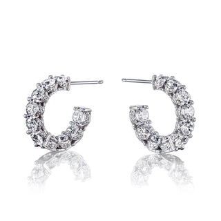 Crescent Eclipse  Earring FE817