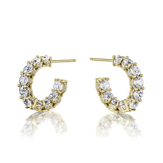 Crescent Eclipse  Earring FE817