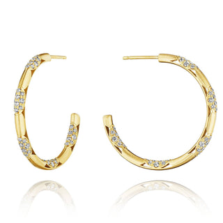 Crescent Eclipse  Earring FE820